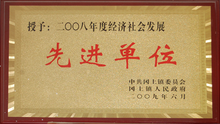 2008年度(du)經濟社(she)會發展(zhǎn)先進單(dān)位