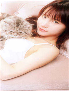 青青青视频手机在线18年观看/乱乳大伦