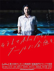 精灵宝可梦破坏之茧与蒂安希