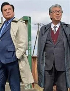 阳光下的我们第2季