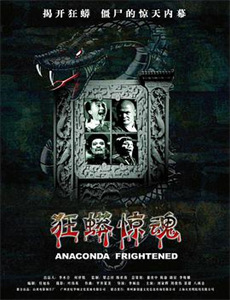 我们讲述的故事